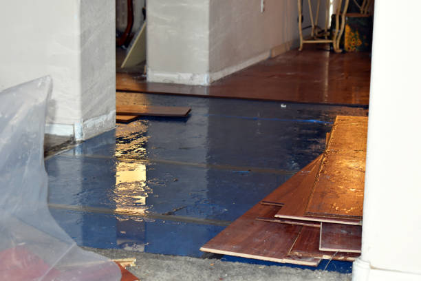 Professional Water Damage Restoration technician working in Castalia, NC